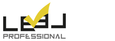 LEVEL PROFESIONAL ALICANTE Logo